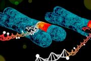 متیلاسیون DNA به عنوان یک ابزار تشخیصی 