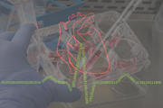 مشخص کردن آریتمی قلبی با استفاده از تجزیه و تحلیل هوش مصنوعی