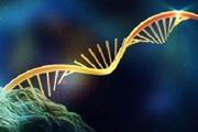 نقش پایداری RNA در سرطان پروستات