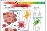 ارتباط بین فیبروبلاست‎‌های زخم و فیبروبلاست‌های مرتبط با سرطان 