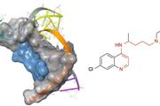 ترکیبات شیمیایی جدیدی که عملکرد RNA را مختل می‌کنند