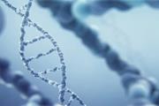 ژنوم‌های باستانی و منشأ خطر ابتلا به مولتیپل اسکلروزیس در اروپا