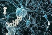 رشد سلول‌های مغزی به روشی نوین