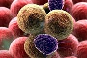 تخریب پروتئین کلیدی محرک سرطان به عنوان یک رویکرد بالقوه برای درمان بیماران