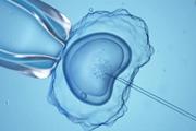 تولید اعضای بدن انسان با استفاده از رشد جنین در آزمایشگاه