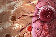 پروتئین فاسین هسته تنظیم کننده رشد سلول سرطانی