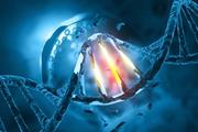 هدف قرار دادن مسیرهای آسیب DNA در سرطان
