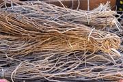 کاربردهای عصاره ساپونین از ریشه مارچوبه به عنوان یک ماده کاربردی