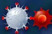 فرصت و چالش‌های درمانی CAR T-Cell برای بیماری مالتیپل میلوما