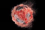 مرگ سلولی انفجاری و کاهش التهاب و سرطان 