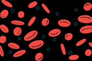 پیوند سلول‌های بنیادی به تغیر دیدگاه بیماران کم خونی داسی شکل کمک می‌کند