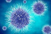 نقش یک آنزیم ضد ویروسی در تکامل سرطان