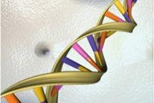 اصلاح جهش‌هاي ژنتيكي ميتوكندريايي انسان براي نخستين بار