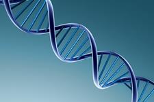 سلول های بنیادی می توانند با بیماری های ژنتیکی مبارزه کنند