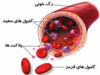 سلول های مولد خون سیگنال ها را از کجا می گیرند!
