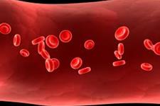 استراتژی جدید برای سرعت بخشیدن به بلوغ عروق خون 