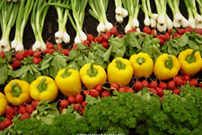 برگ سبزیجات منبع اصلی بیماری مسمومیت غذایی است