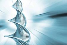 ژن درمانی گزینه ای جدید برای نقص های استخوانی