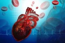 تنظیم کننده جدیدی در سلول های بنیادی برای تشکیل قلب 