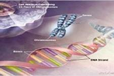 کشف ژن های جدیدی در ارتباط با سرطان پستان