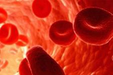 از دست دادن ژن ضروری گلبول قرمز منجر به کم خونی می شود