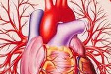 زخمی کردن بافت سالم قلب برای درمان فیبریلاسیون دهلیزی