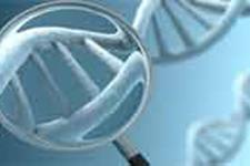 مشخصات ژنتیکی همه مجرمان سابقه‌دار در بانک اطلاعات ژنتیک کشور ثبت می‌شود
