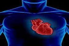 روشی نوین دربازسازی سلولی های آسیب دیده قلبی