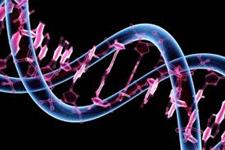 سرنخ های ژنتیکی جدید در مورد سرطان پستان و تخمدان