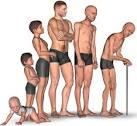 مطالعه ای جدید از امکان دوباره جوان سازی موضعی عضلات پیر پشتیبانی می کند