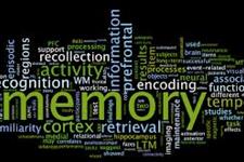 کشف ژن مسئول پاک شدن حافظه های قدیمی