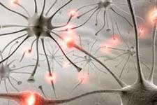 افزایش جریان پتاسیم درمسیر تمایز  سلول های بنیادی عصبی