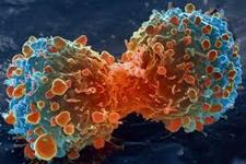 شناسایی استراتژی های درمانی هدفمند برای برخی سرطان های کشنده