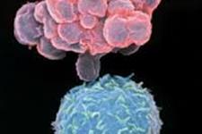 القای یک فاجعه متابولیکی در سلول های سرطانی