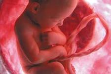 بیگانه درون!: سلول های جنینی روی سلامت مادر طی بارداری و حتی بعد از آن اثر می گذارند(بخش دوم)