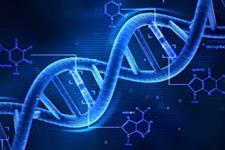 شناسایی ارتباط مولکولی بین آسیب DNA و پیری زودرس