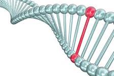 ژن های کاذب: بیومارکرهایی برای سرطان 
