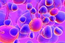 نابودی سلول های سرطانی مثانه با نانومیله های طلا