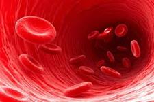 احتمال عفونت ویروسی در پیوند با سلول های بنیادی خون بندناف پایین است