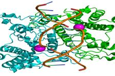استفاده از نانو ذرات و RNA برای درمان بیماری های ژنتیکی