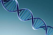  شناخت ژن های دخیل در بروز بیماری قوز قرنیه 