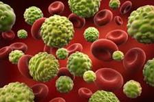 طبقه بندی سلول های سرطانی خونی برای پیش بینی بهتر گسترش بیماری