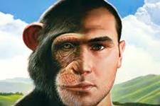 منشا تفاوت های چهره انسان و شمپانزه( استفاده از سلول های بنیادی)