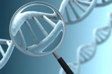 نقش نواحی غیرکد کننده ژنوم در سرطان کولون