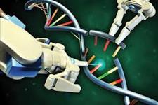 استفاده از تکنولوژی خاموش کردن ژن برای کشتن سلول های بنیادی سرطانی