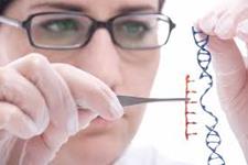 بهبود ویرایش ژنومی با استفاده از ریز مولکول ها