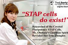 میخ آخر بر تابوت سلول های بنیادی القاشده بوسیله استرس(STAP Cells)