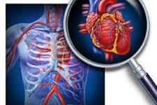 چگونگی سازگاری برخی از سلول های قلبی با فشارخون بالا