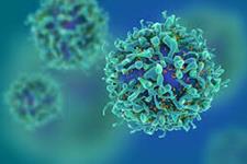 بازبرنامه ریزی سلول های T برای حمله کردن به تومورهای توپر(جامد)