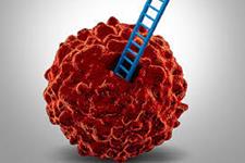 سرطان: موتاسیونی که ژن ها را تخریب می کند به صورت سه بعدی عمل می کند